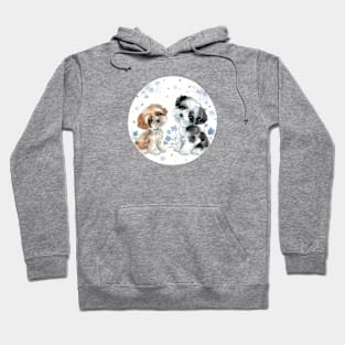 Two cute puppies Hoodie